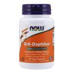 now_gr8_dophilus_60vcaps