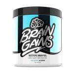 brain-gains-nootropic-brain-fuel-260g-40-servings-blue-raspberry