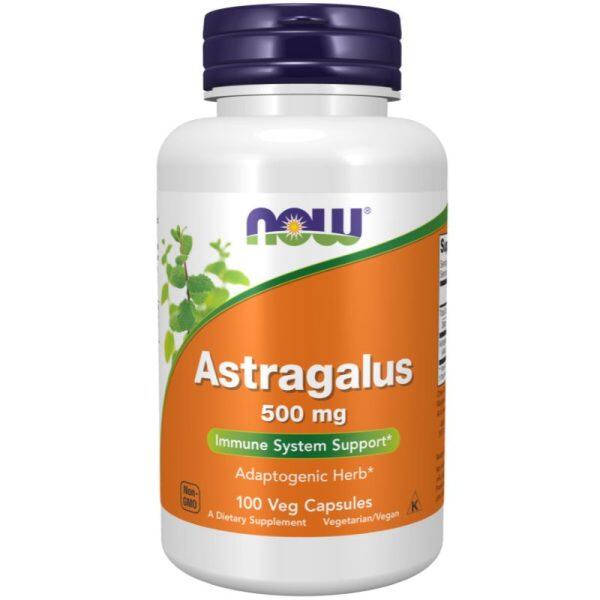 Astragalus 500mg (100 Veg Caps)