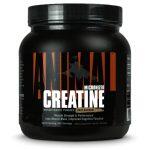 animal_creatine_micronized_500gram