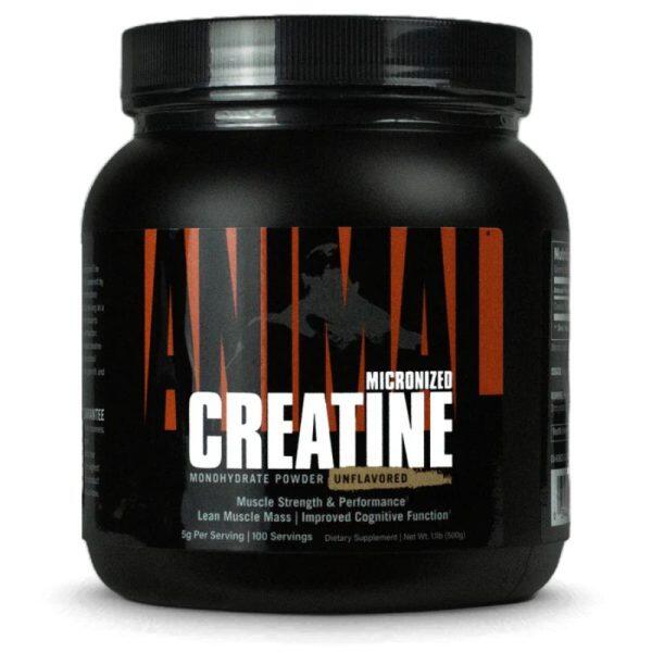 Animal Micronized Creatine (500 gram)